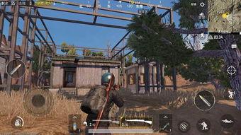 和平精英花园最新爆料,神秘花园等你探索，全新玩法即将上线！